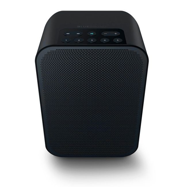 bluesound bluetooth speaker