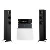 Eversolo DMP-A6 Master Edition + Eversolo AMP-F2 + Scansonic M20 Streaming Hi-Fi System