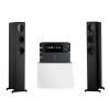 Eversolo DMP-A6 + Eversolo AMP-F2 + Scansonic M20 Streaming Hi-Fi System