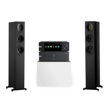 Eversolo DMP-A6 + Eversolo AMP-F2 + Scansonic M20 Streaming Hi-Fi System