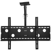 Category Ceiling Mounts image