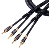 Category Terminated Speaker Cables image