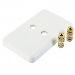 Speaker Wall Plate FPWP1021